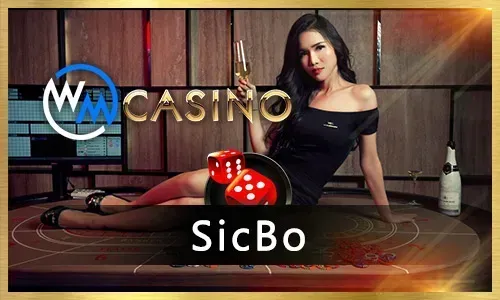 Wide variety of online casino games